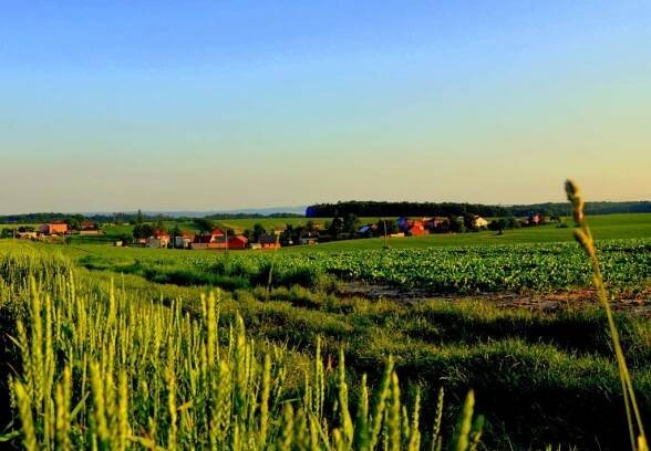 Fotografie - Oficiální stránky Obec Služovice