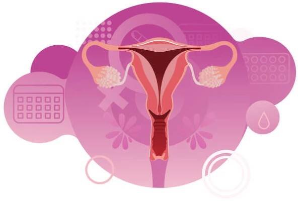 podrobný ženský reprodukční systém. ženský symbol. děloha, vejcovody, vaječník, endometrium, vagina - velké stydké pysky stock ilustrace