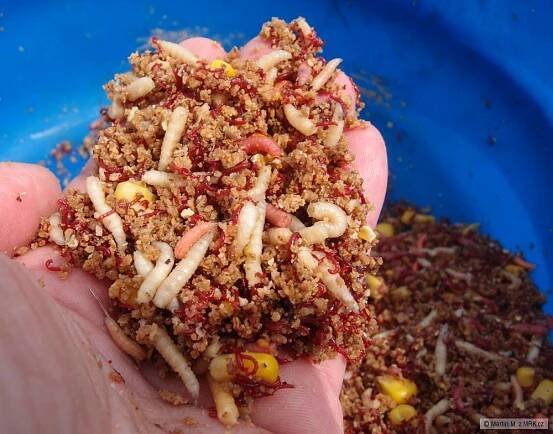 Tubertini Feeder Kupa 2014 | MRK.cz