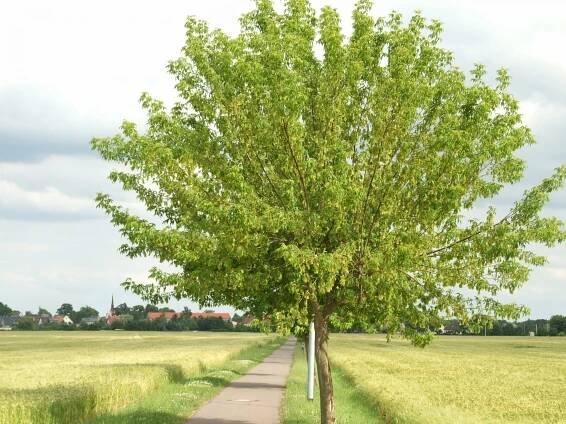 Impressionen aus der Gemeinde – Gemeinde Parthenstein