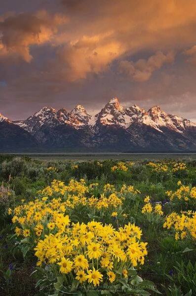 Sunrise over the Teton Range from Antelope Flats, Grand Teton National Park Wyoming #52084