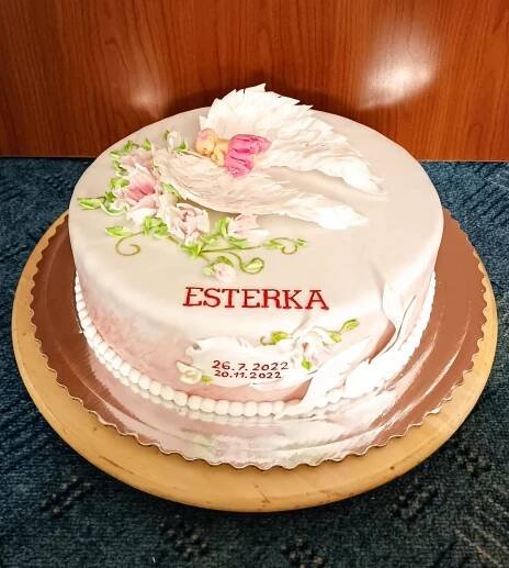 Špachtlovana tortička, torta, Torty na krstiny