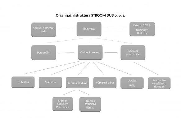 Organizační struktura