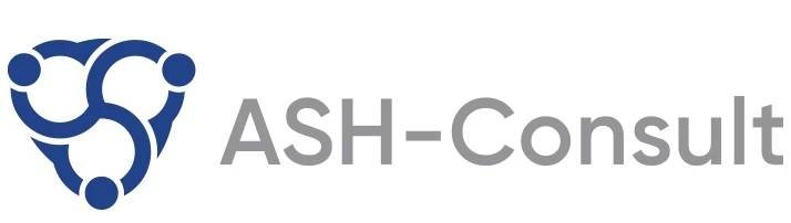 ASH-consult - Ancologi Digital Agency