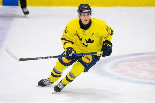 NHL Draft 2025: Pronman and Wheeler answer the biggest questions facing teams - The Athletic