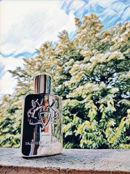 Pegasus Parfums de Marly pro muže
