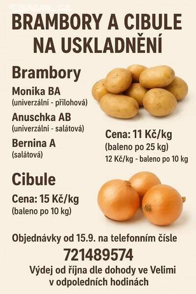 Brambory a cibule na uskladnění
