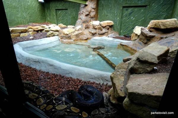 Dudley Zoo, Dudley – Parks to Visit