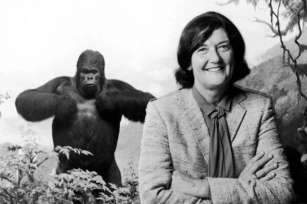 Dian Fossey