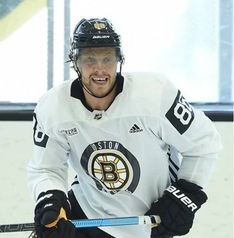 David Pastrňák - David Pastrňák – Hvězda NHL, Statistiky, Novinky a Kariéra