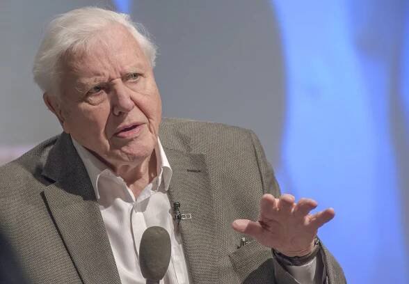 David Attenborough: National treasure admits he is 'approaching the end' of his life as he makes plea to protect oceans