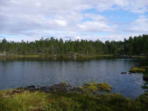 Jezero, Finsko, příroda