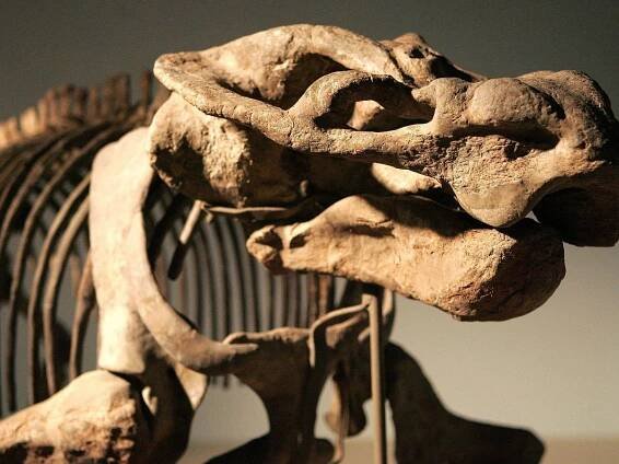 Archaeologists Uncovered a Painting That May Prove the Existence of a Mysterious Creature