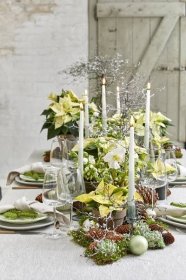 Květinová výzdoba stolu korunovaná vánoční hvězdou