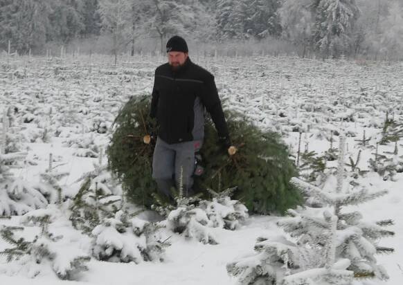 Vánoční stromky z plantáže: U Smetanů v Heřmanči si vybere svého favorita každý