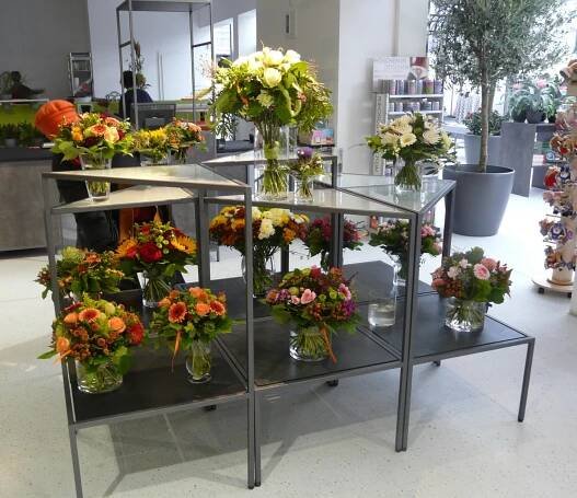 Start - KREPELA GesmbH, Blumen Gärtnerei Baumschule