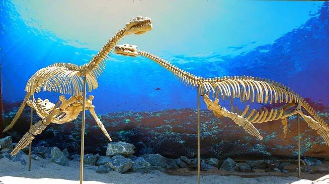 Soubor:DinoPark Plzeň Pliosaurus.JPG – Wikipedie