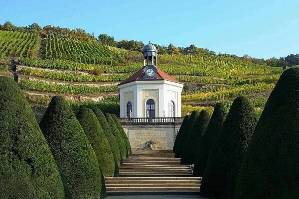 image of belvedere and vineyard at schloss wackerbarth dresden germany