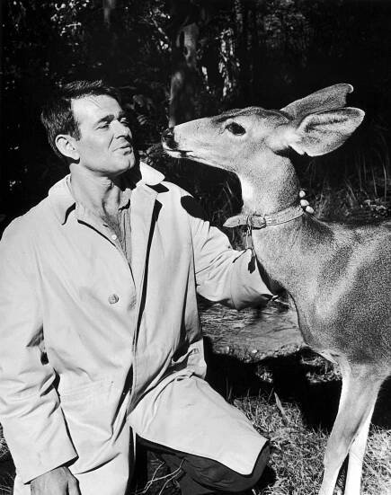 Stuart Whitman - Signpost to Murder - Z natáčení