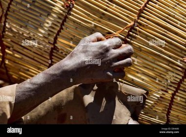 A man ties a knot on a traditional fish trap hand woven in Zambia's Bangweulu Wetlands Stock Photo