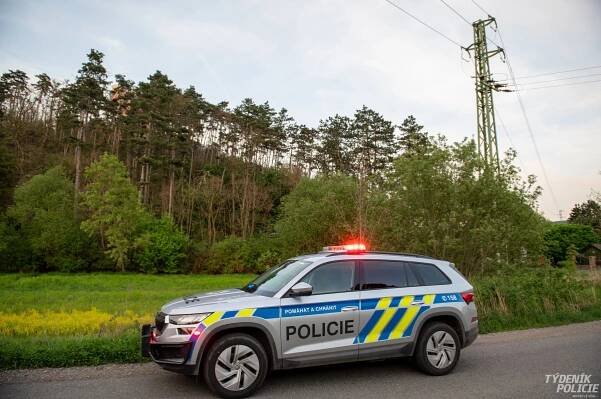 Horkovzdušný balón přistál na Berounsku v korunách stromů. Pětičlenná posádka vyvázla bez zranění | Týdeník Policie