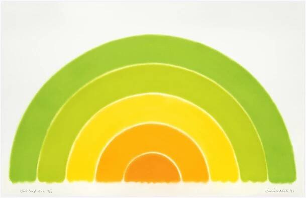 David Nash - artiste - Galerie Lelong