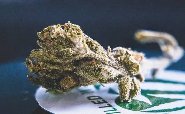 Průvodce THC-JD: Co to je? What Are Its Effects, Composition and Uses?