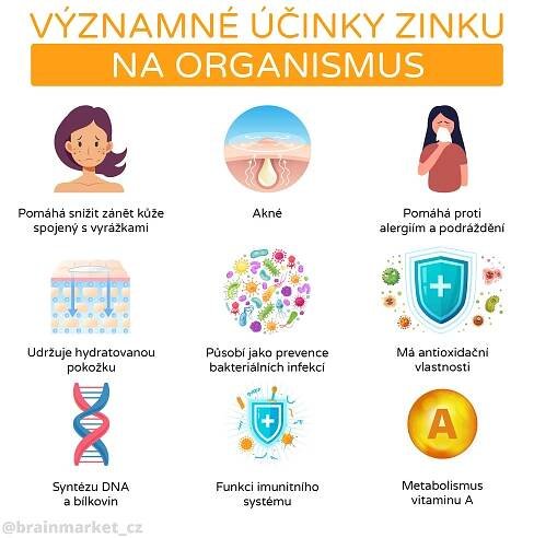 Zinek v organismu