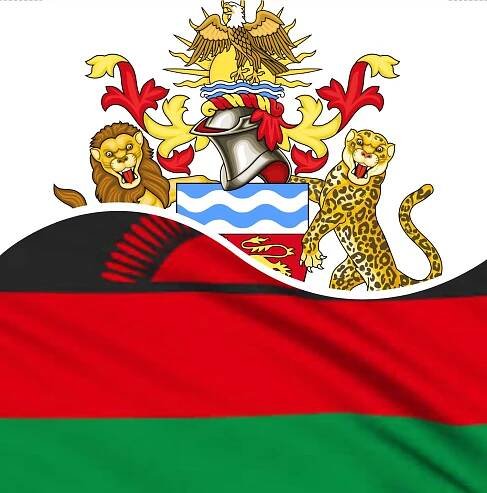 Malawi Country Threat Assessment by FCN – Summary