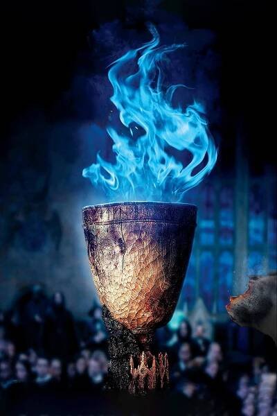 Harry Potter a Ohnivý pohár (2005)