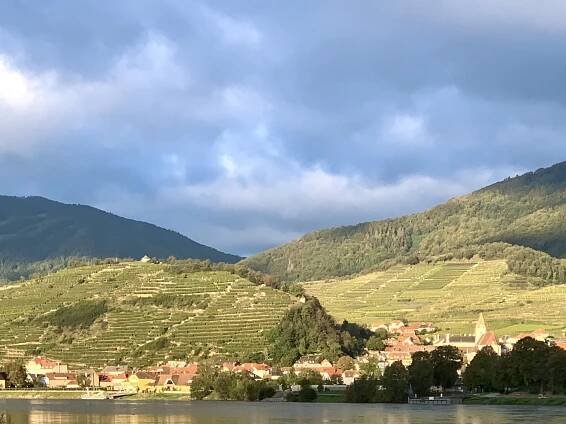 Tausendeimerberg in Spitz an der Donau