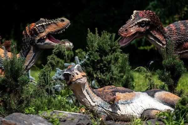 Zábavní parky lákají. Procvičte si mozek, nebo vylezte na dinosaura