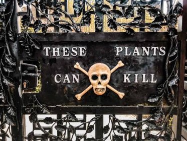Alnwick Poison Garden - 7 Warnings Before you Visit the World's Deadliest Gardens! 1