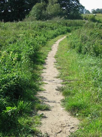 Lehrpfad des Naturerlebnisraumes - Eutin
