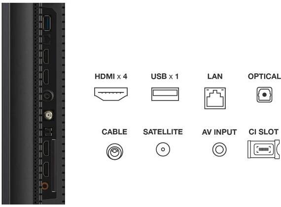 55c765 qled mini-led tv tcl