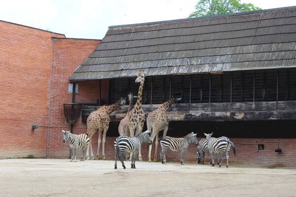 ZOO Liberec - Oficiální stránka MŠ Velký Osek