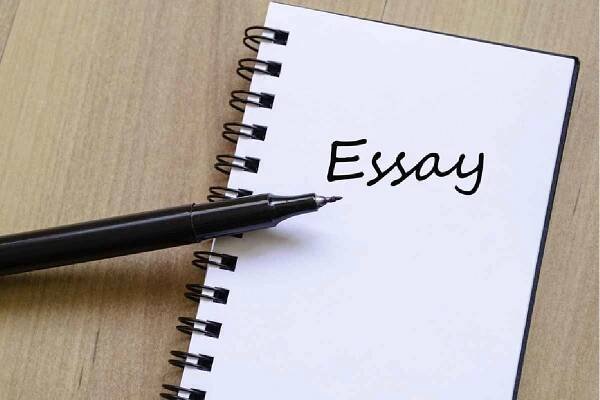 Essay writing services - why are they so popular in the U.S.?