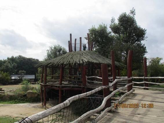 Podzimní výlet do ZOO Dvůr Králové nad Labem - Oficiální stránky ZŠ a MŠ Lípa nad Orlicí