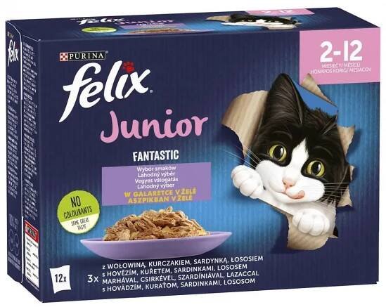 FELIX Fantastic Junior multipack 12x85g, s kuřetem v želé