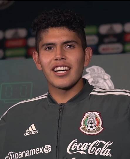Carlos Vargas (footballer)