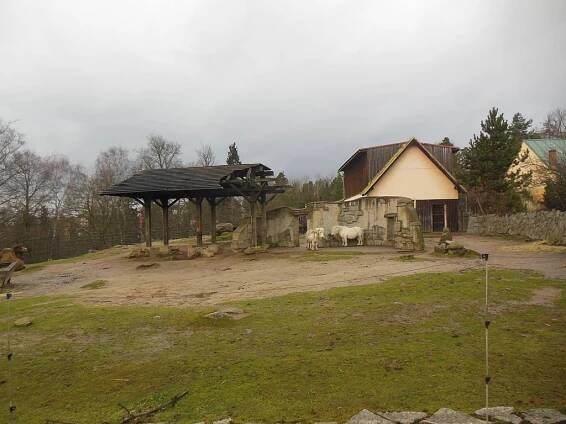 ZOO Liberec - otevírací doba, vstupné, ubytování, zvířata, ceník, akce