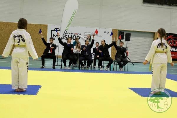 ŠKOLA TAEKWONDO NA-MU