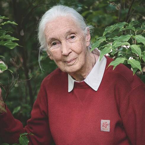 Jane Goodall Thinks It’s Not Too Late to Save the World