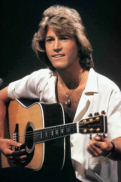 Andy Gibb Biography Captures His Struggle with Fame, Cocaine Addiction and Death at 30