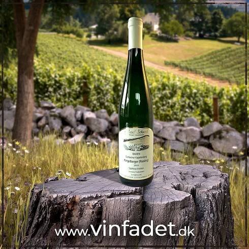 Hvidvin – Vinfadet