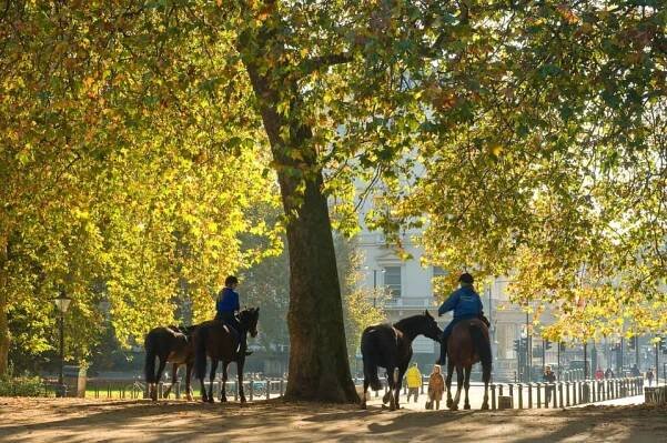 London's best parks, from Hyde Park to Clapham Common | The Standard