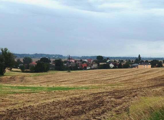 Vrbka (Služovice)