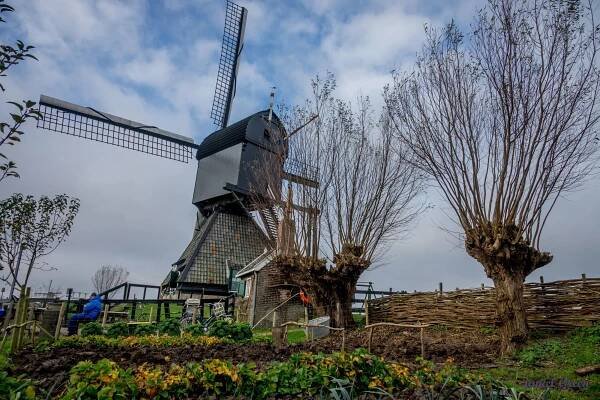 Kinderdijk Windmills,  a UNESCO World Heritage Site