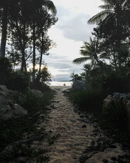 beach forest Landscape Nature photographer Photography  photoshoot sea SKY trees