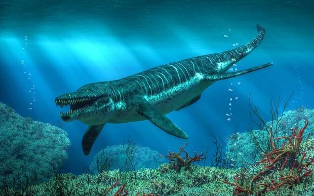Plesiosaurus: Steckbrief & 6 Merkmale zum Meeressaurier » schreiben.net